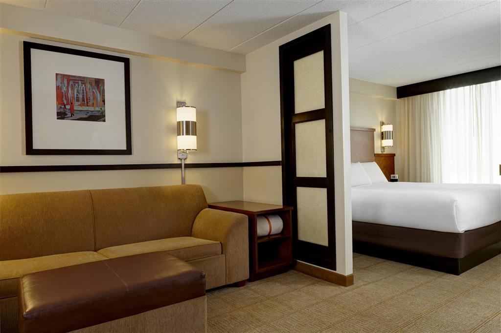 ไฮแอท เพลซ แอตแลนตา อัลฟาเรตตา นอร์ทพอยต์ มอลล์ Hotel อัลฟาเรททา ห้อง รูปภาพ